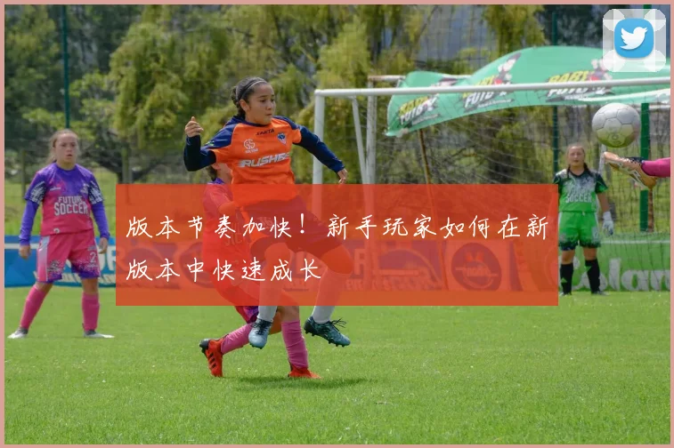 版本节奏加快！新手玩家如何在新版本中快速成长