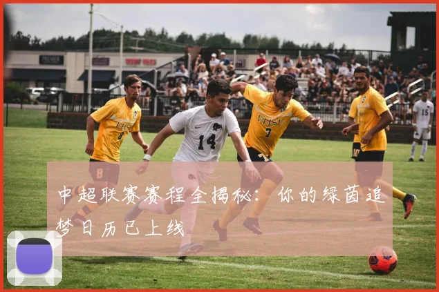 中超联赛赛程全揭秘：你的绿茵追梦日历已上线